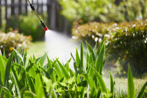 24/7 Emergency Bed Bug Control experts in Fair Lakes, VA